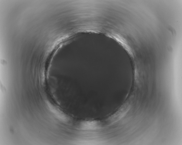 X0000091240202200708091441