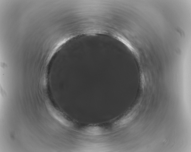 X0000091240203200708091441