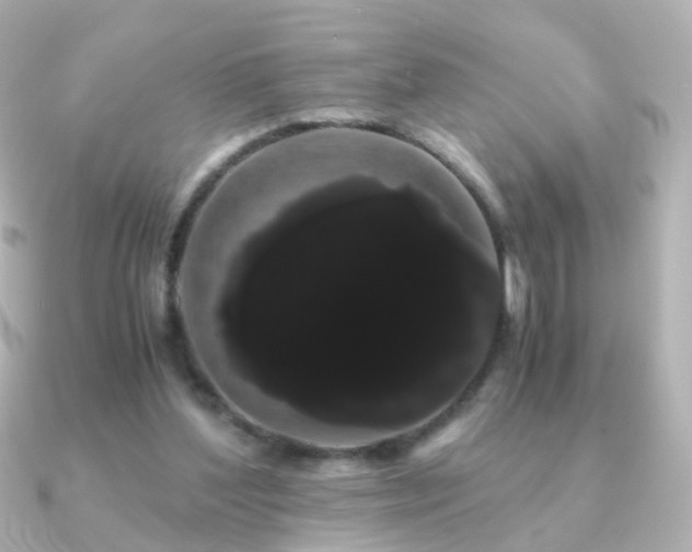 X0000091240204200708091441
