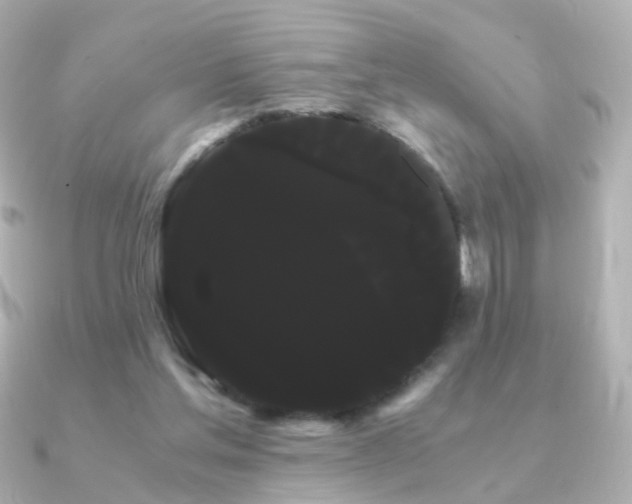 X0000091240205200708091441