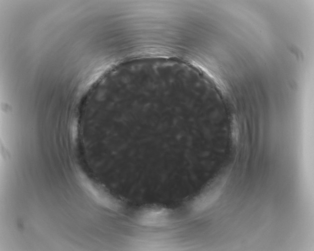 X0000091240206200708091441