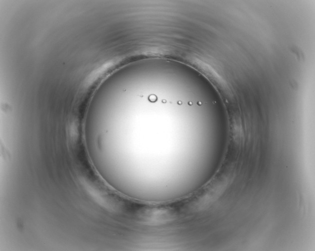 X0000091240208200708091441