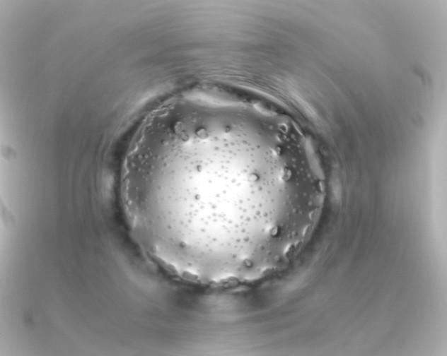 X0000091240211200708091441