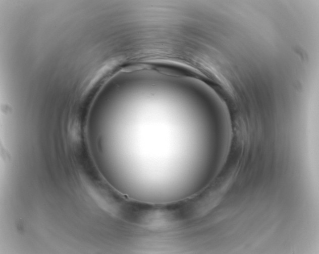 X0000091240212200708091441