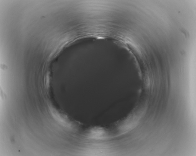 X0000091240214200708091441