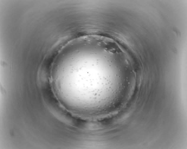 X0000091240215200708091441