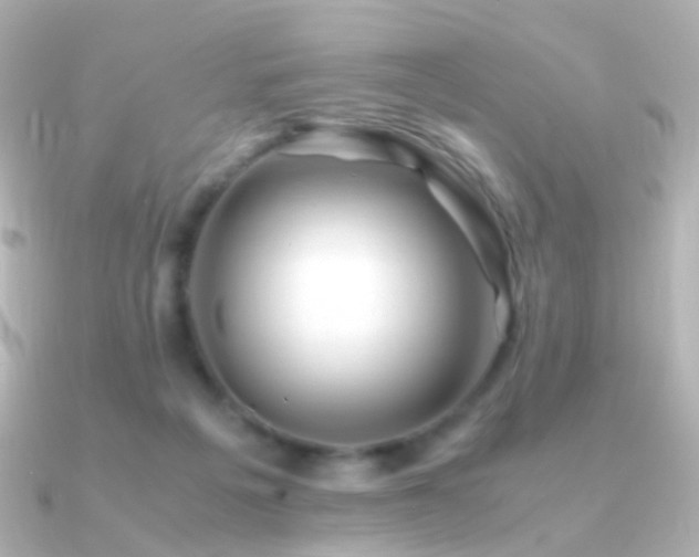 X0000091240217200708091441
