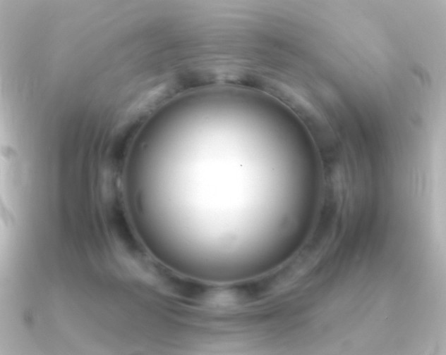 X0000091240218200708091441