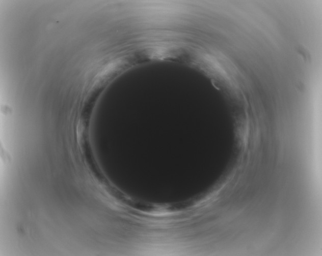 X0000091240219200708091441