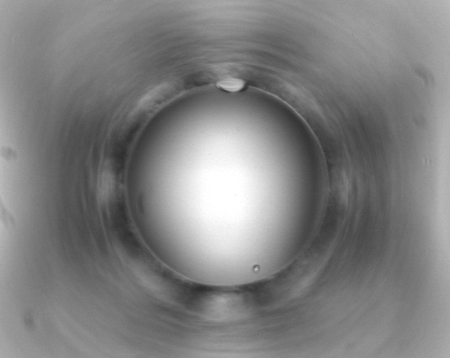X0000091240220200708091441