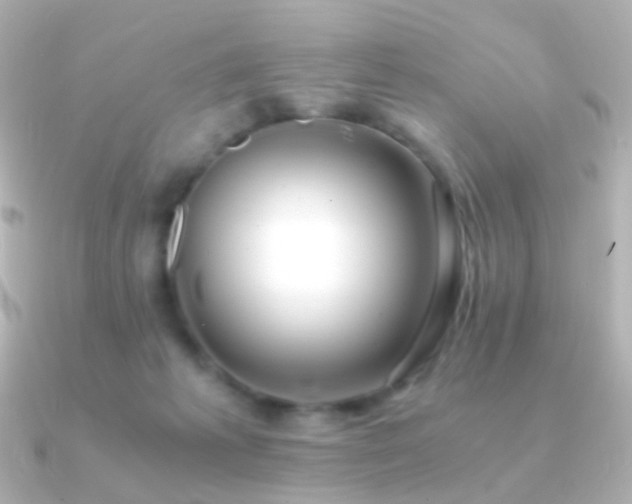 X0000091240221200708091441
