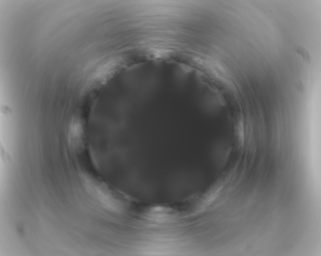 X0000091240222200708091441