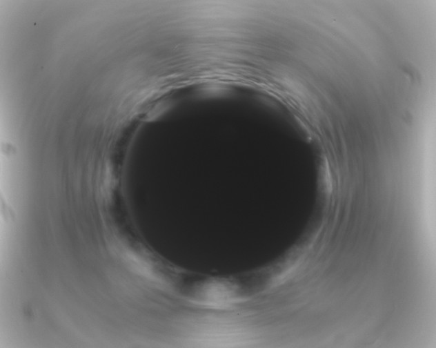 X0000091240223200708091441
