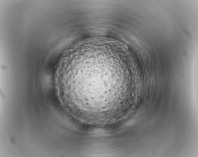 X0000091240224200708091441