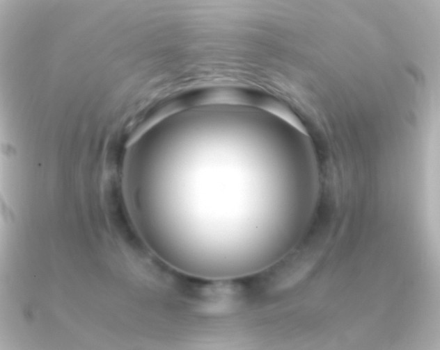 X0000091240225200708091441