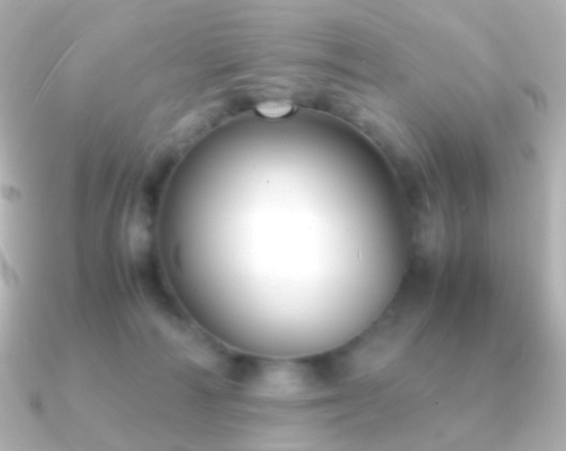 X0000091240226200708091441