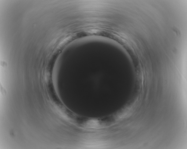 X0000091240227200708091441