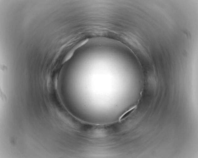 X0000091240228200708091441