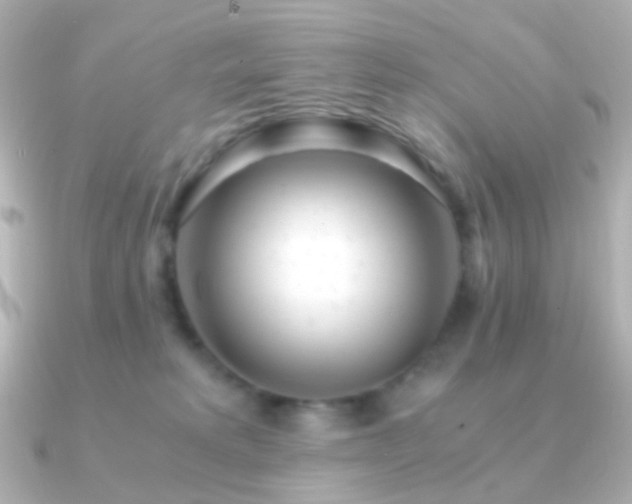 X0000091240229200708091441