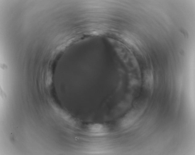 X0000091240230200708091441