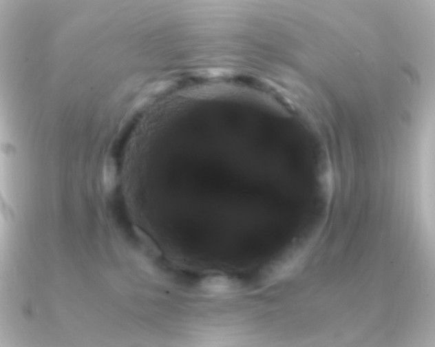 X0000091240231200708091441