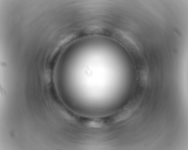 X0000091240232200708091441
