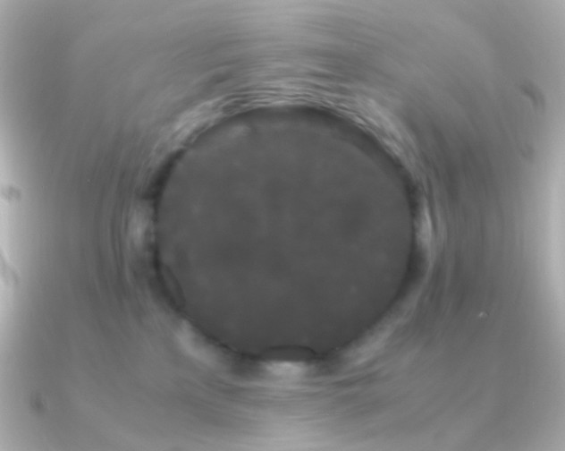 X0000091240233200708091441