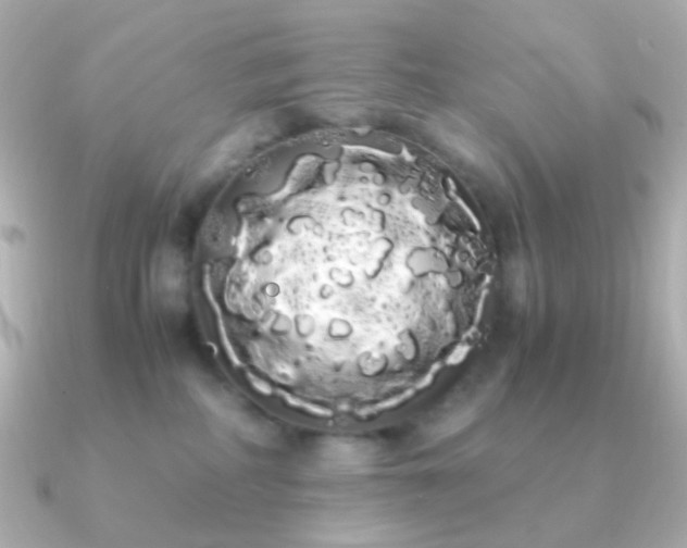 X0000091240234200708091441