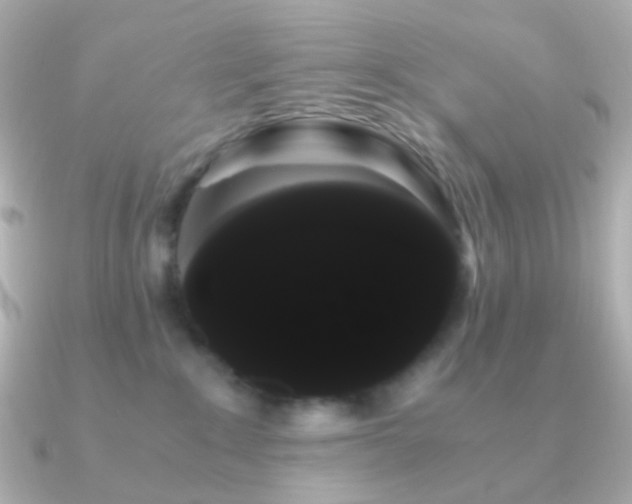 X0000091240235200708091441