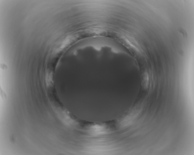 X0000091240236200708091441