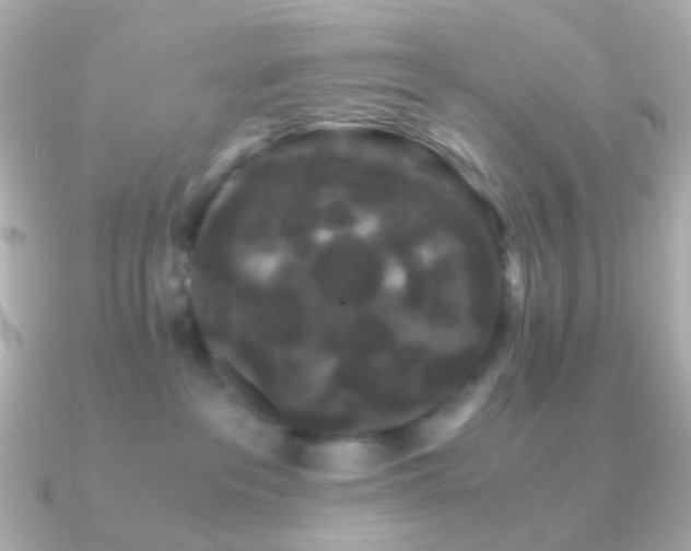 X0000091240237200708091441