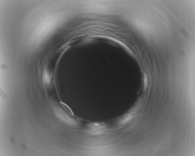 X0000091240239200708091441