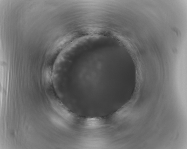 X0000091240240200708091441