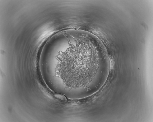 X0000091240243200708091440