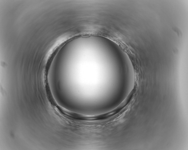 X0000091240244200708091440