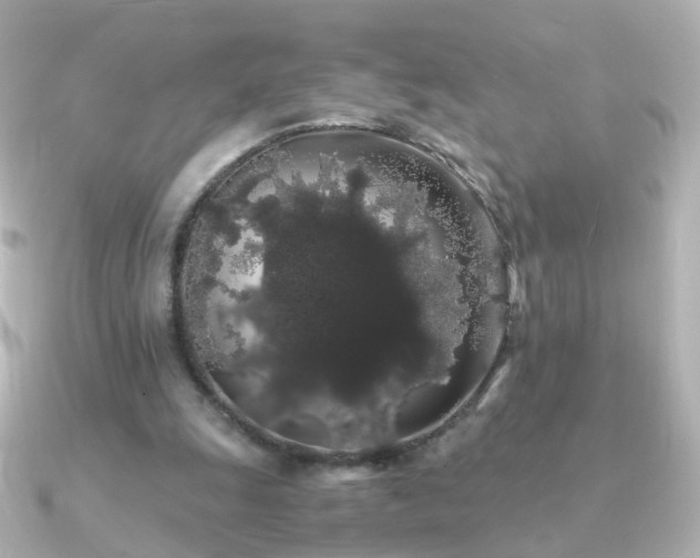 X0000091240247200708091440