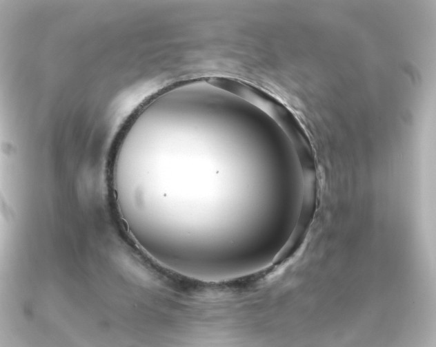 X0000091240248200708091440
