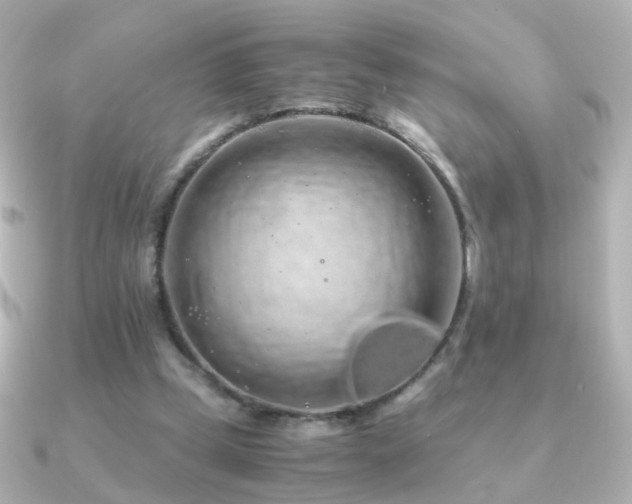 X0000091240249200708091440