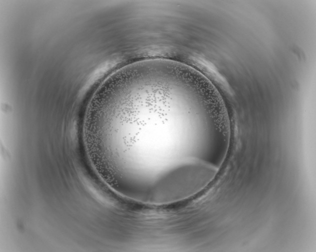 X0000091240250200708091440