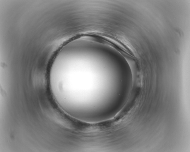 X0000091240252200708091440