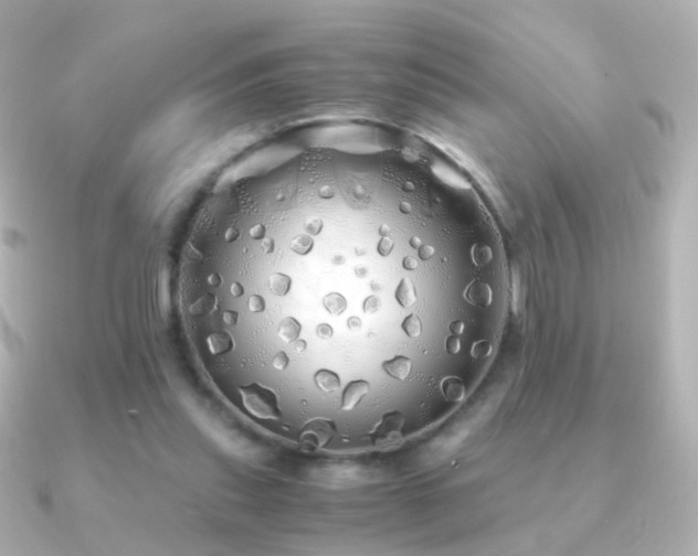 X0000091240253200708091440