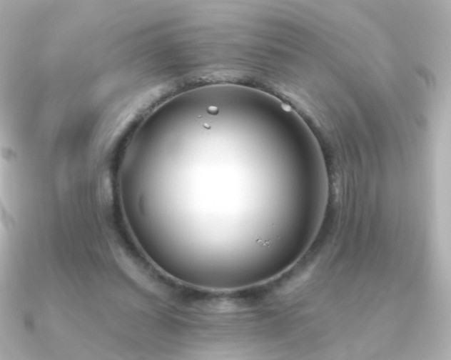 X0000091240254200708091440