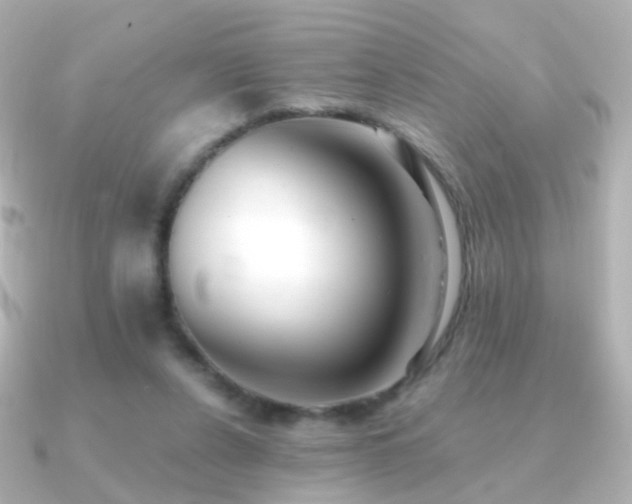 X0000091240256200708091440