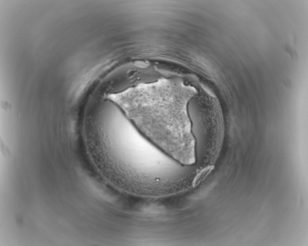 X0000091240258200708091440