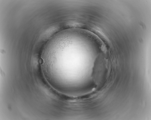 X0000091240259200708091440