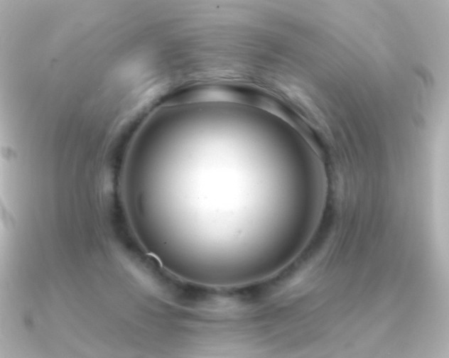 X0000091240260200708091440