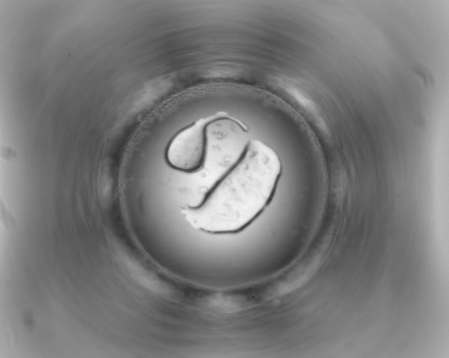 X0000091240261200708091440