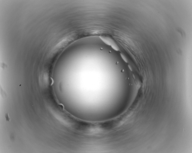 X0000091240262200708091440
