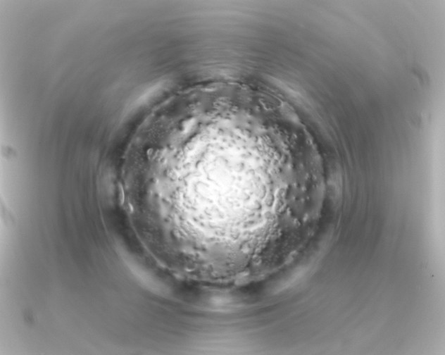 X0000091240264200708091440