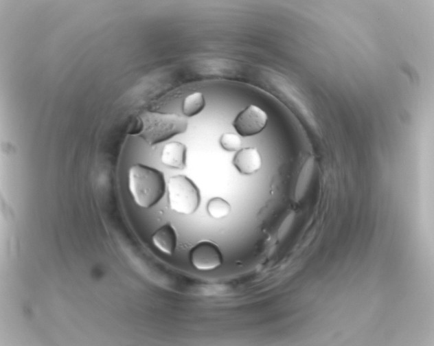 X0000091240265200708091440